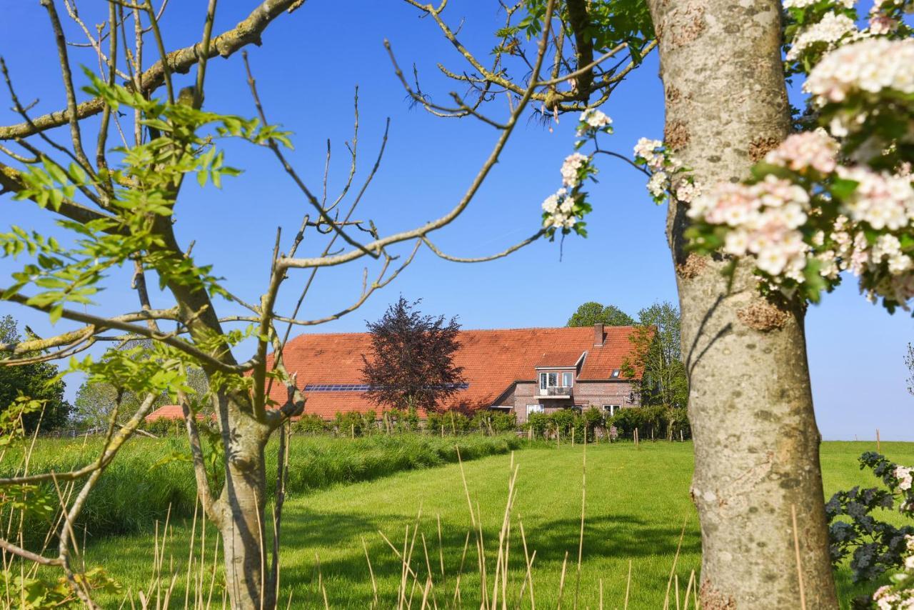 Auf Dem An Der Schafweide * Werdum